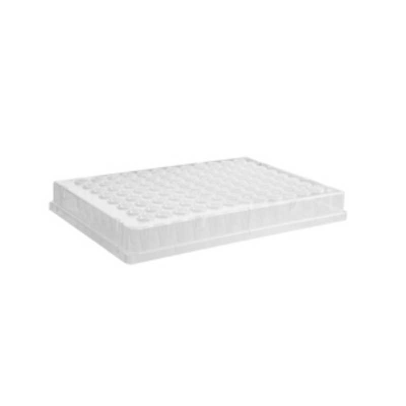 Axygen® 96-well Polypropylene PCR Microplate, Full Skirt, Clear, Nonsterile