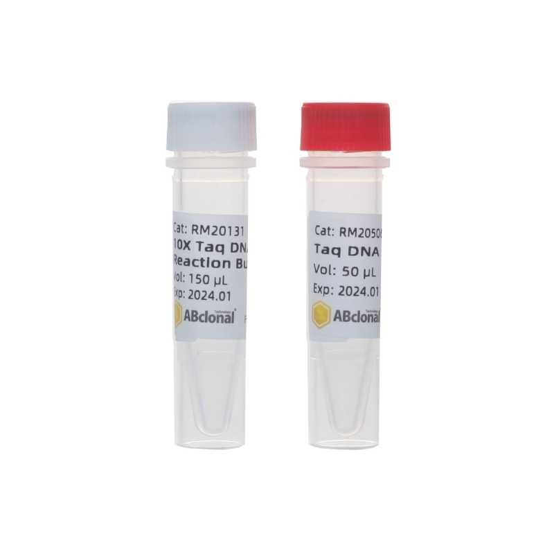 Taq DNA Ligase