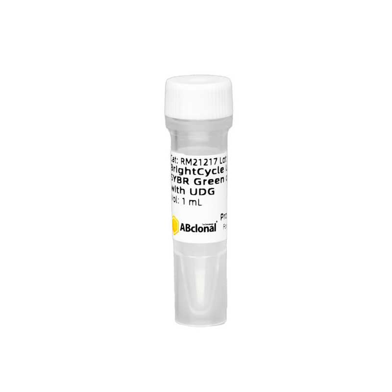 BrightCycle Blue Universal SYBR Green qPCR Mix with UDG