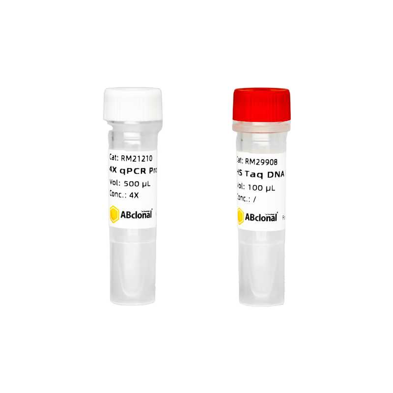 Entrans SNP qPCR Probe Kit